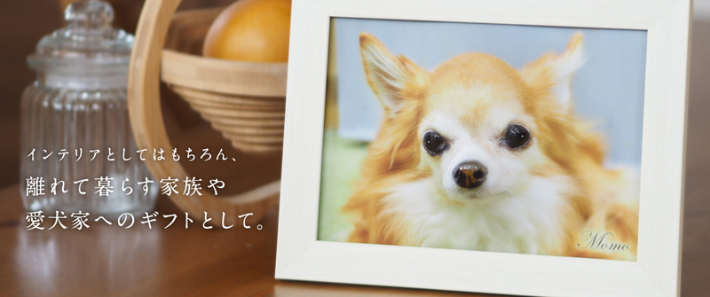 Illustration for article titled This Website Turns Photos of Your Pets Into 3D Reliefs You Can Actually Pet